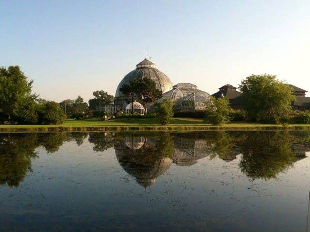 Featured image for the Lion Cubs, Lost Pints, and a Billionaire Belle Isle Boondoggle podcast.