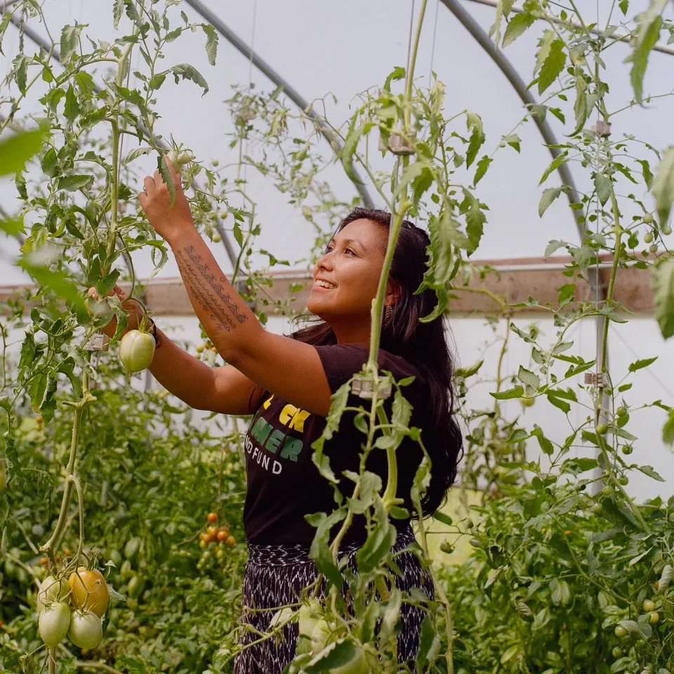 Featured image for the From Porch Gardens to Food Power in Detroit podcast.